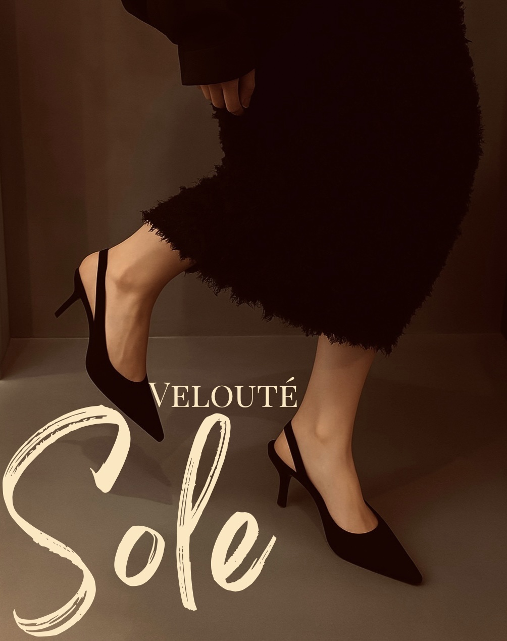 Velouté Sole